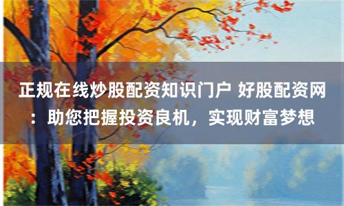 正规在线炒股配资知识门户 好股配资网：助您把握投资良机，实现财富梦想